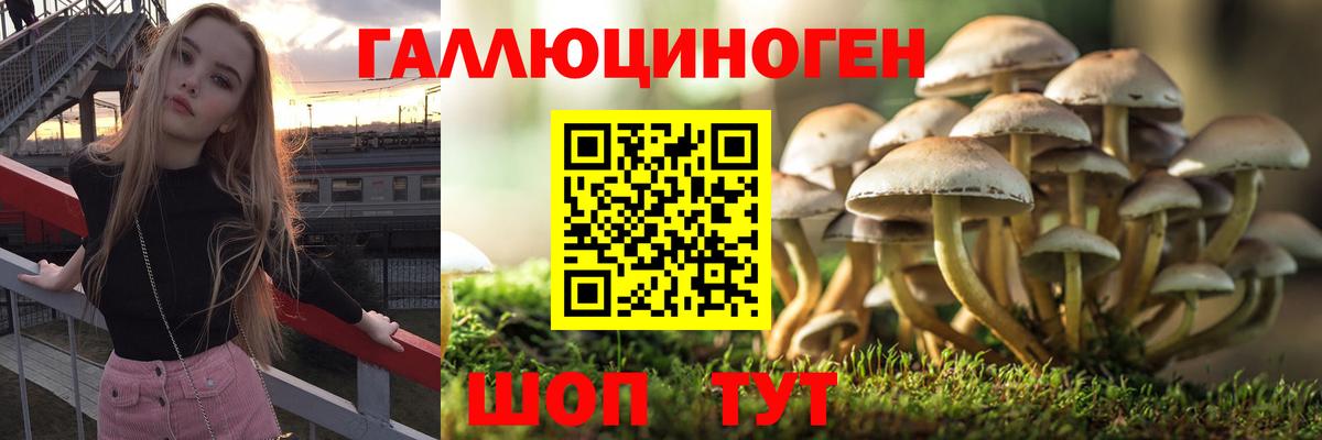 Псилоцибиновые грибы Magic Shrooms  Вход с VPN  Петропавловск-Камчатский 